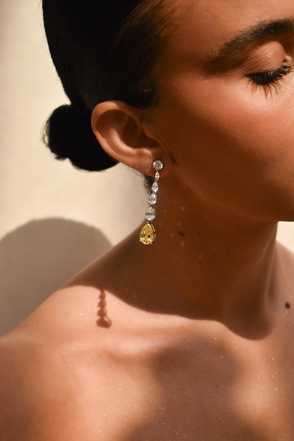 Long Pear Shape Drop Earrings